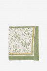 Cotton scarf with olive tree print in green